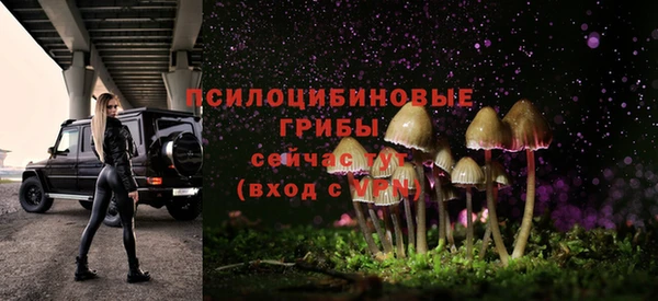 соль курить ск Арсеньев